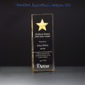 2 7/8" x 8" Clear Acrylic Star Award