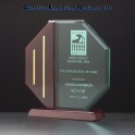 8.125" x 8.625" Octagon Series Acrylic Award